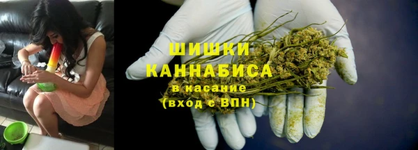 прущие грибы Бородино