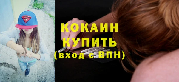 прущие грибы Бородино