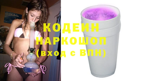 прущие грибы Бородино