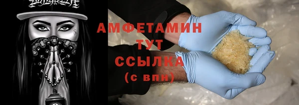прущие грибы Бородино