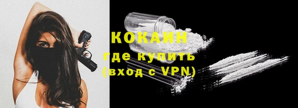 прущие грибы Бородино