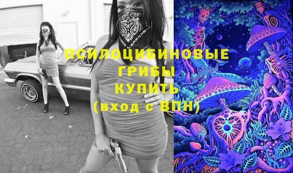 крисы Строитель
