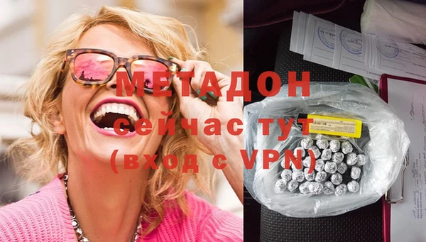 прущие грибы Бородино