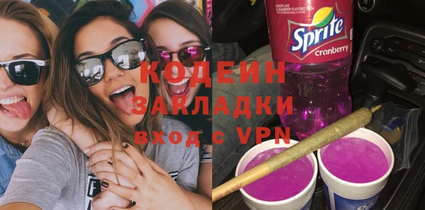 прущие грибы Бородино