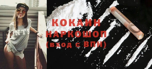 прущие грибы Бородино