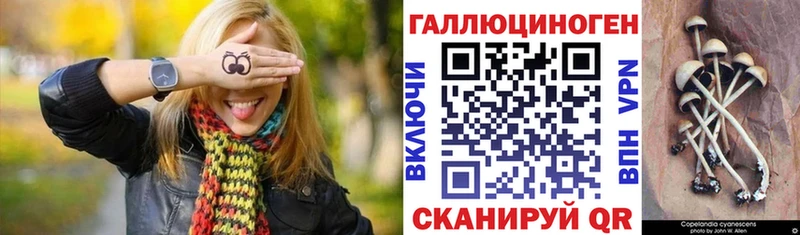 где найти Мещовск darknet телеграм Галлюциногенные грибы GOLDEN TEACHER